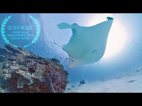 0 1 480x360 - فیلم 4k واقعیت مجازی نمای زیر جزایر استرالیا