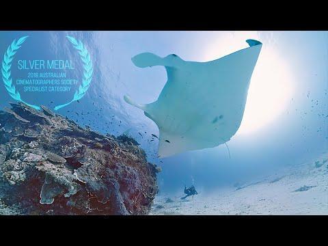 0 1 - فیلم 4k واقعیت مجازی نمای زیر جزایر استرالیا